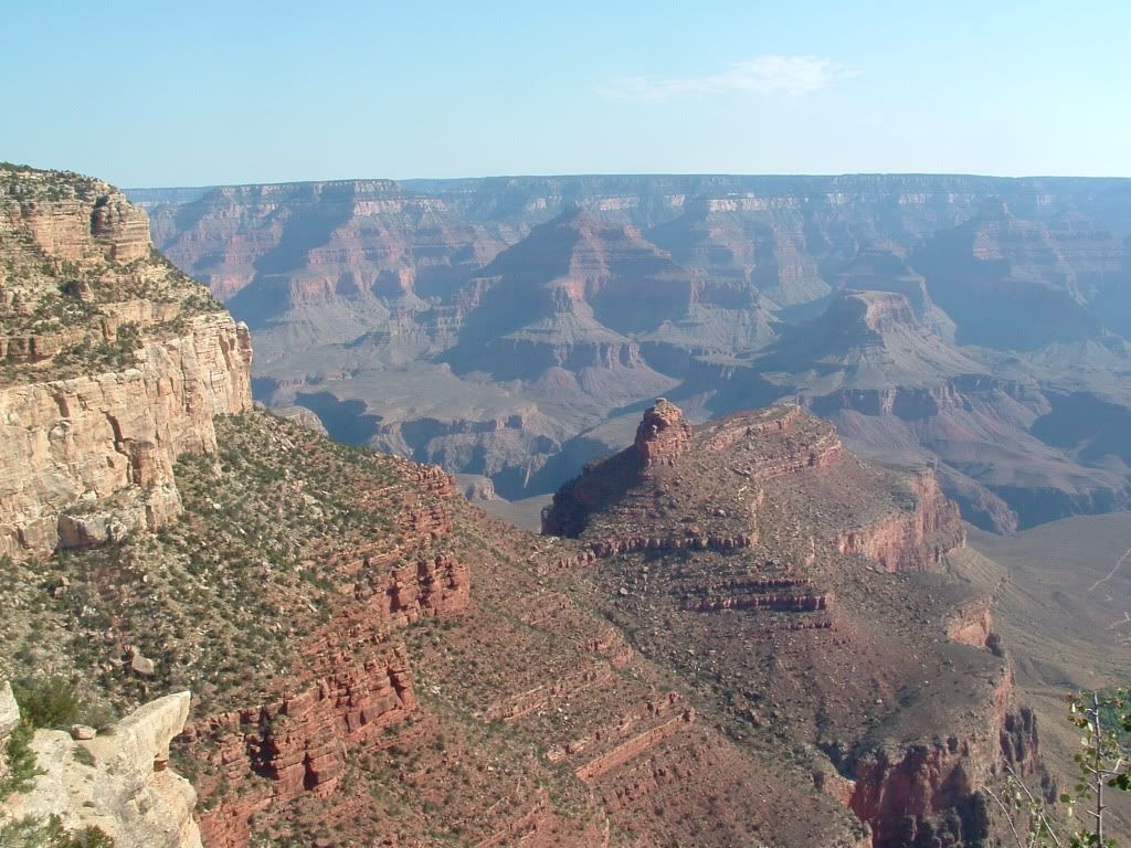 DSCF0520.jpg