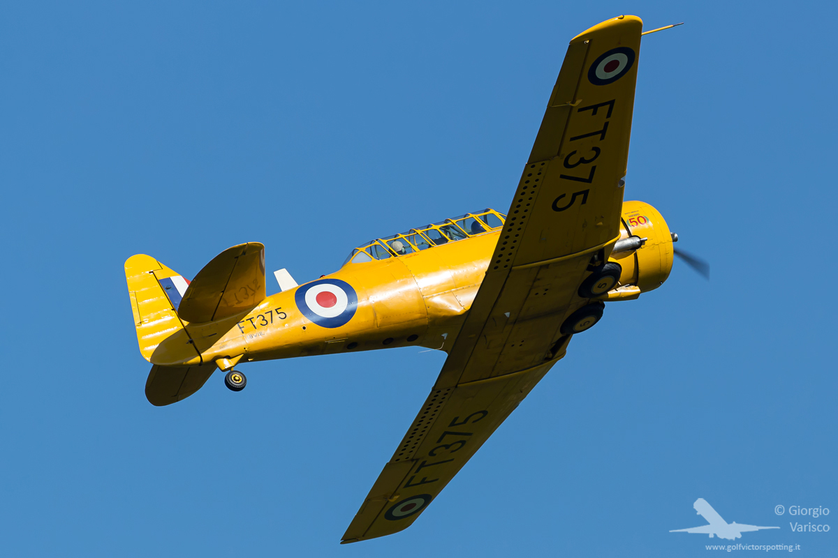 _MG_6873_250623.jpg