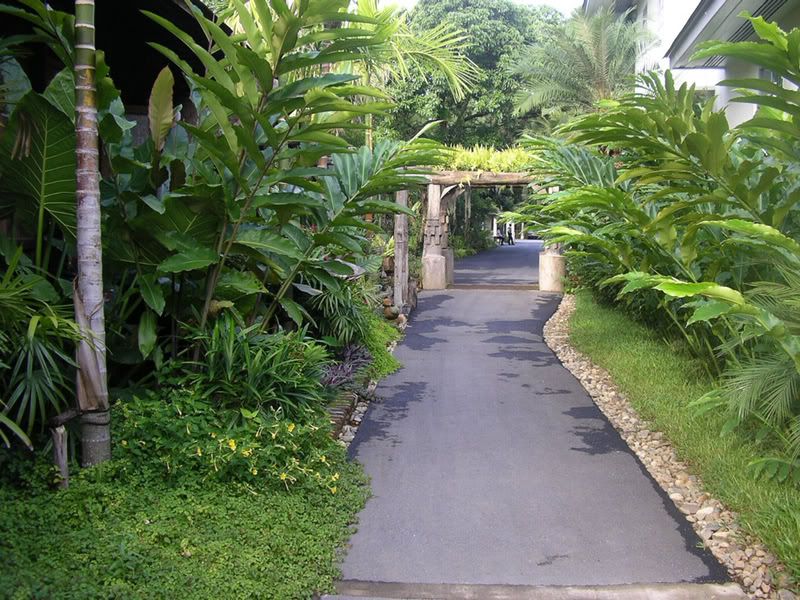 IMGP0847.jpg