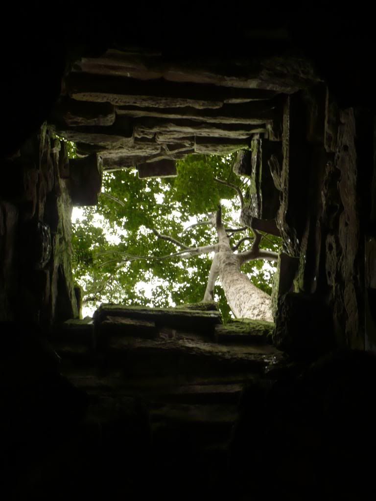 IMG354.jpg