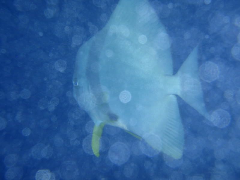 PC310217.jpg
