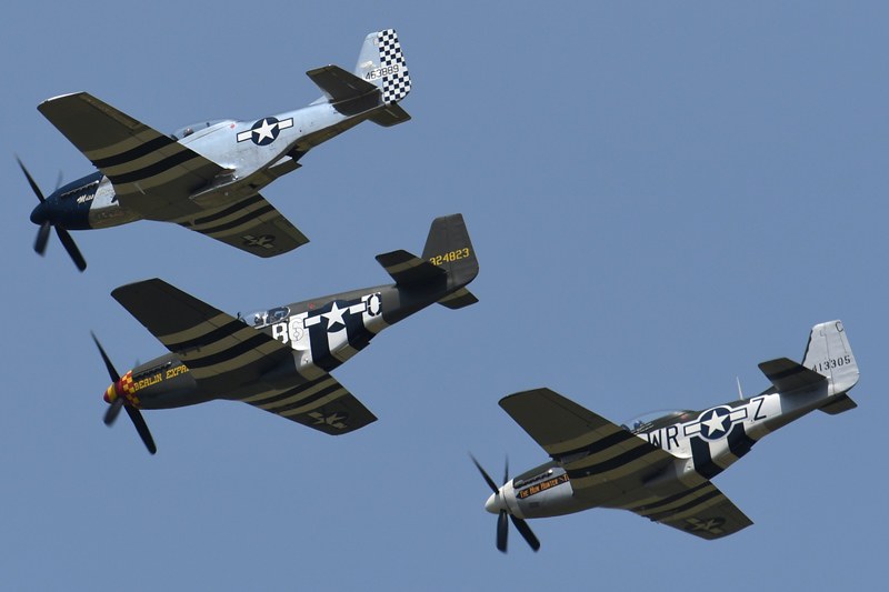 53116131555_a9f49697c1_c.jpg
