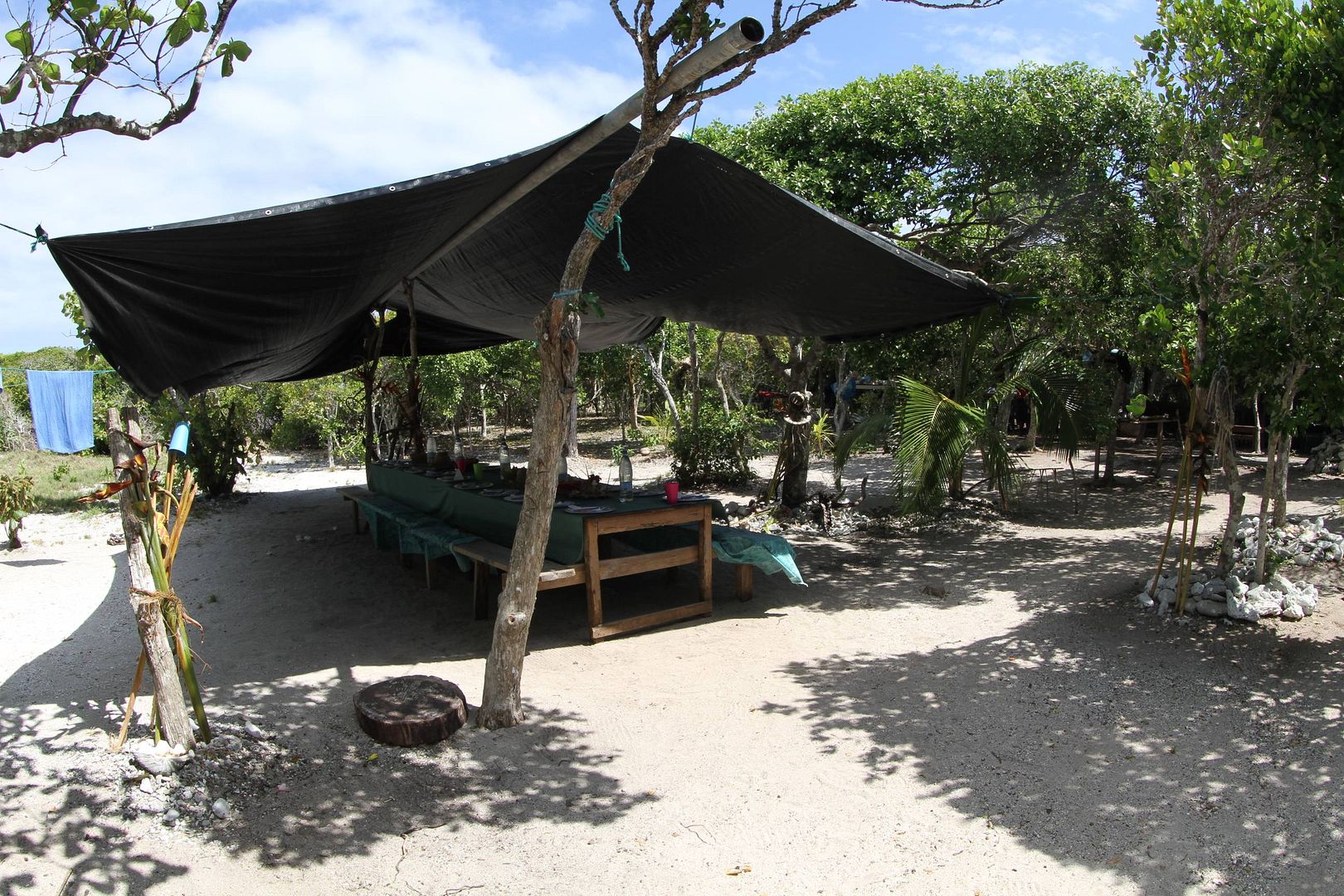 ILP75.jpg