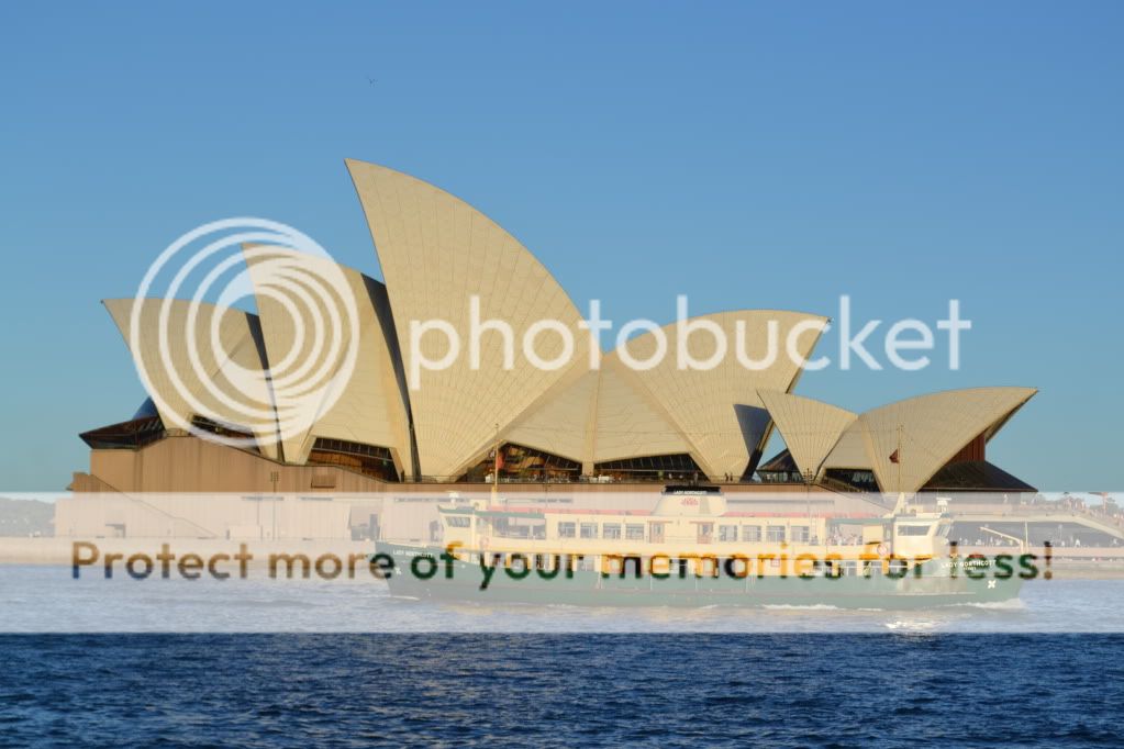 DSC_0303.jpg