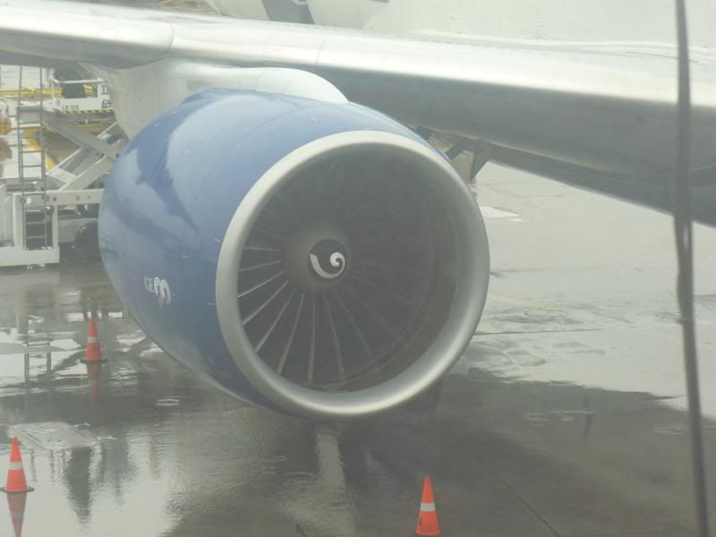 P1020123.jpg