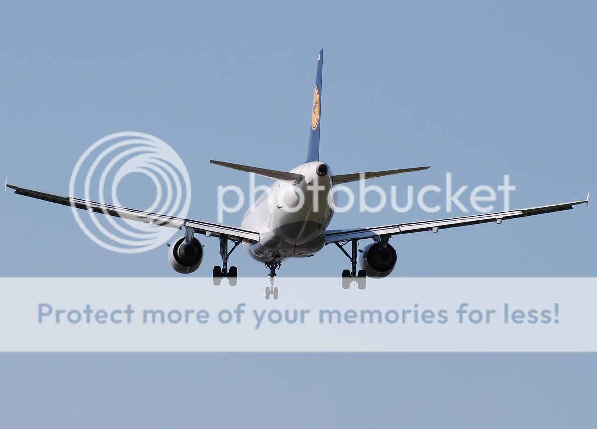 D-AKNJ.jpg