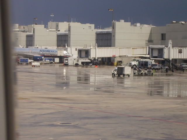 IMGP0645.jpg