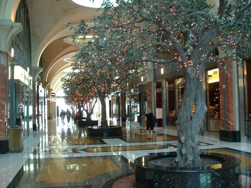 DSCF0722.jpg