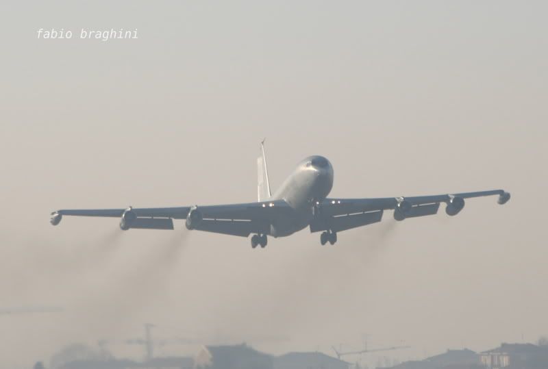 t6.jpg