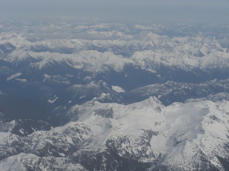 CIMG7975.jpg