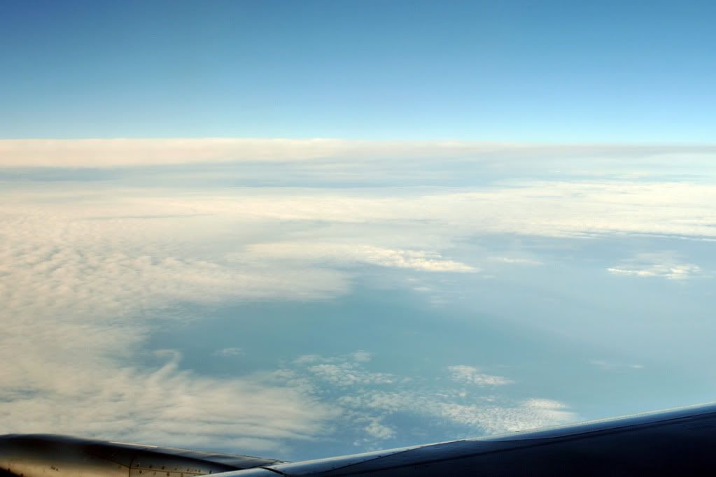 DSC_0247-1.jpg