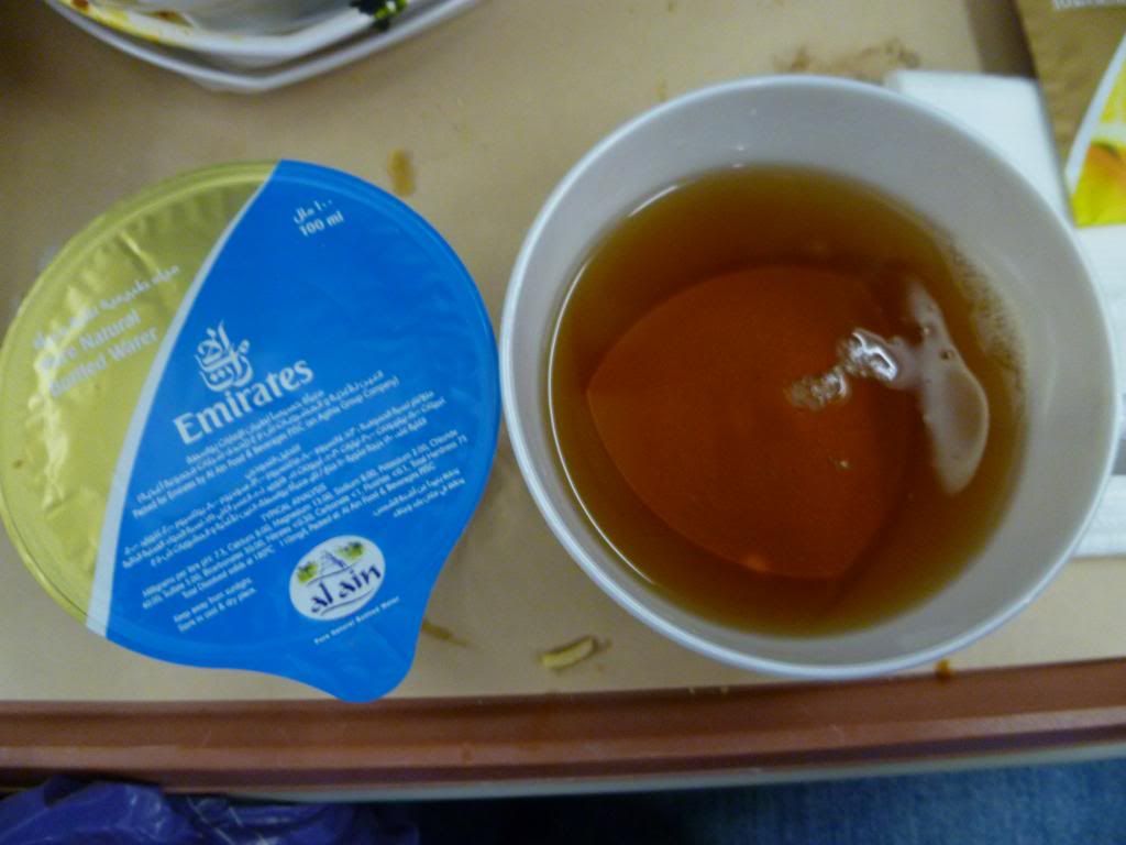 P1040983_zps008ba88f.jpg