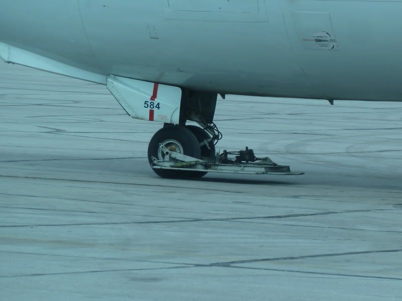 P1170061.jpg