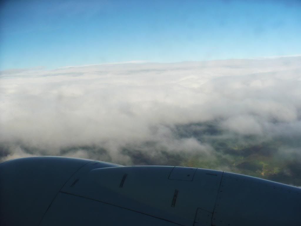 P1010397.jpg