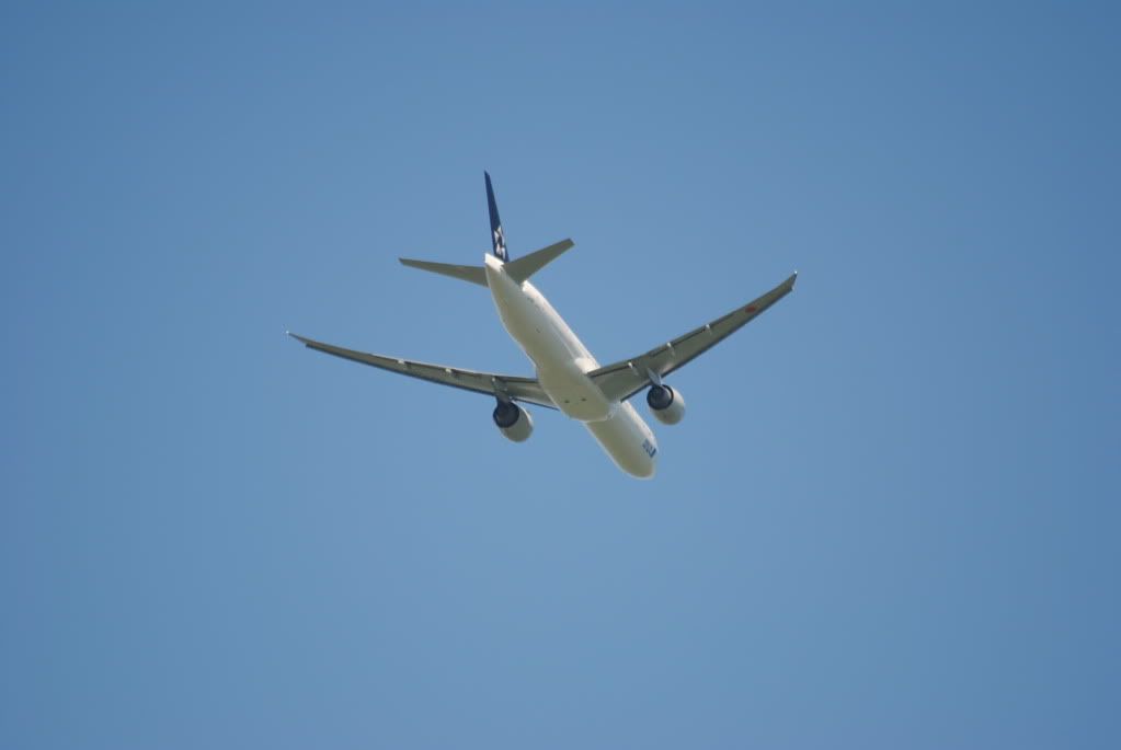 DSC_0073.jpg