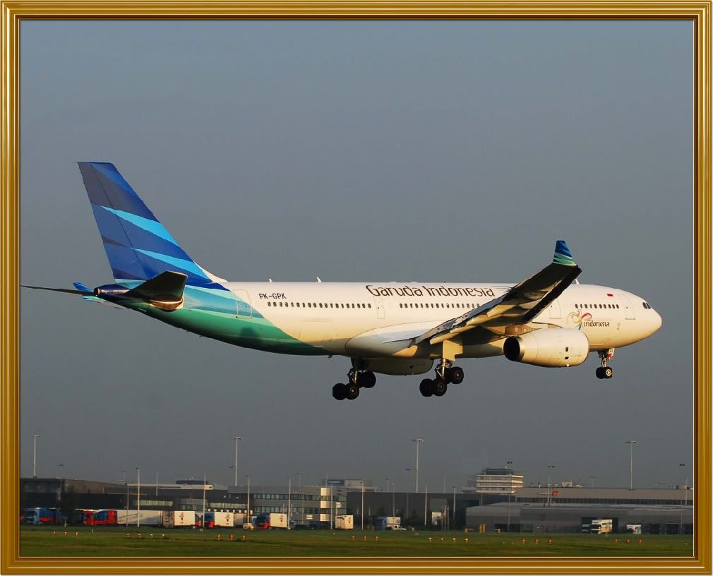 garuda-1.jpg