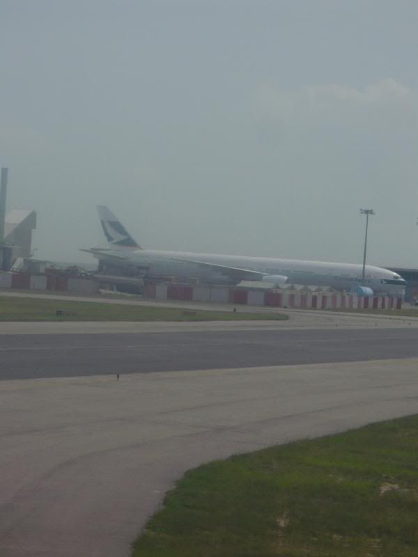 P1000326.jpg