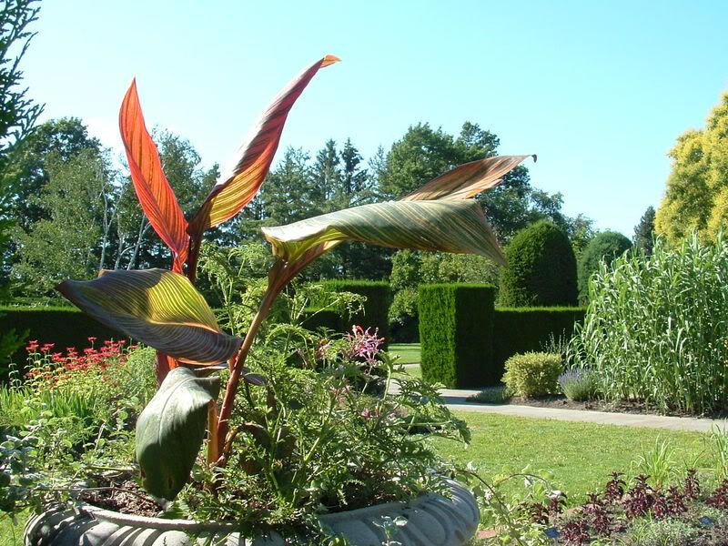DSCF0479.jpg