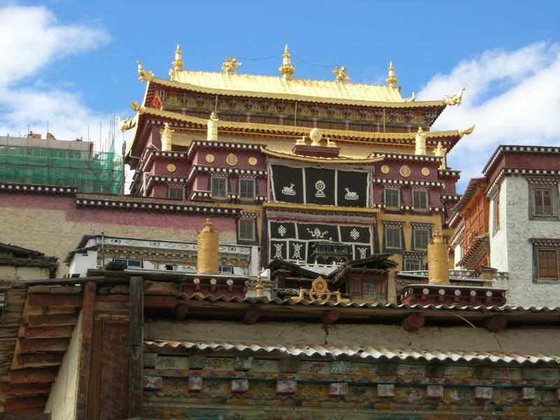 DSCN2205-1.jpg