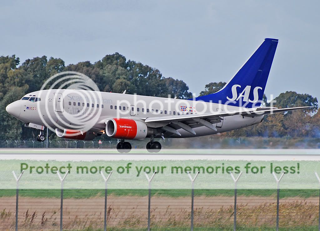 LN-RPAsmall.jpg