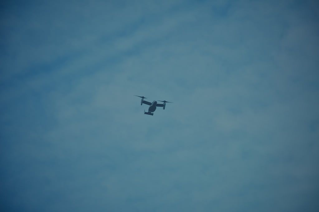 DSC_0056.jpg