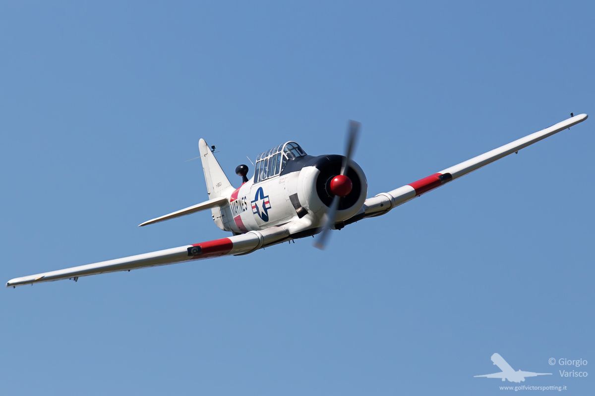 _MG_1143_020619.jpg