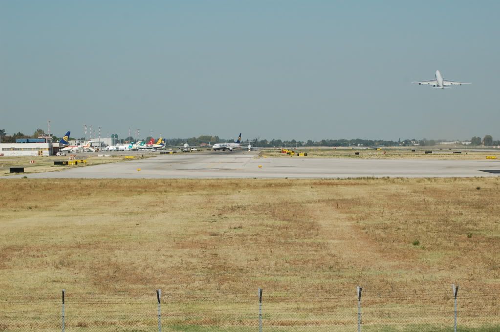 DSC_0091.jpg