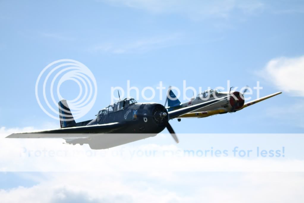 cc56a28b.jpg