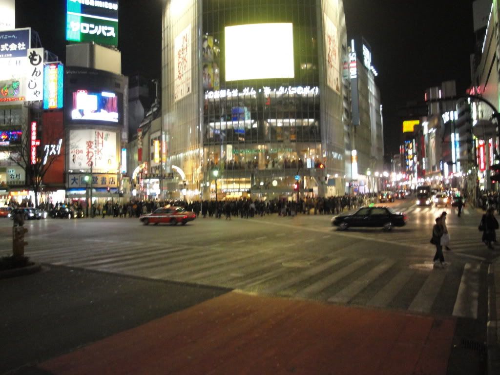 DSC01761.jpg