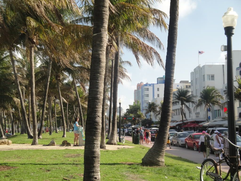 DSC05839.jpg