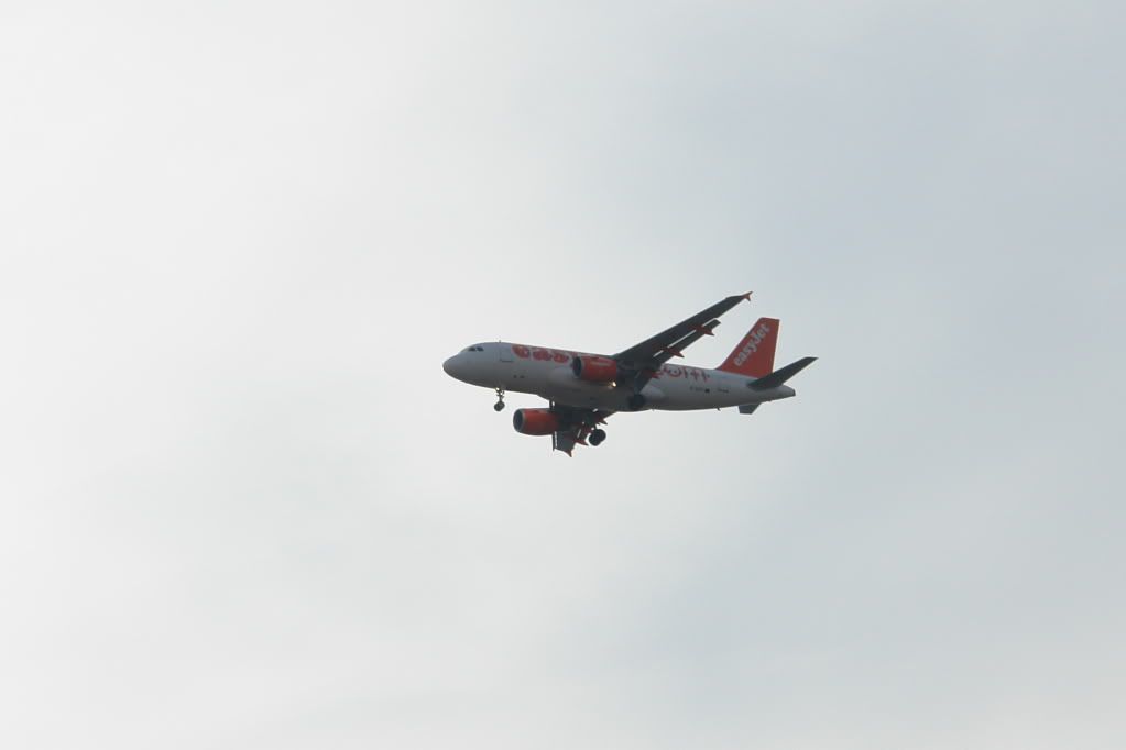 DSC02040.jpg