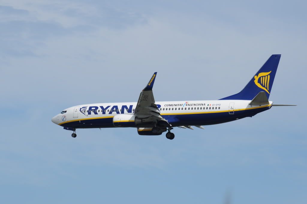 DSC_0034.jpg