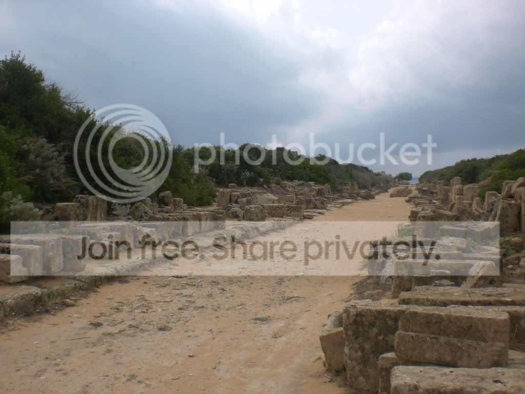 resized_Trapani266.jpg