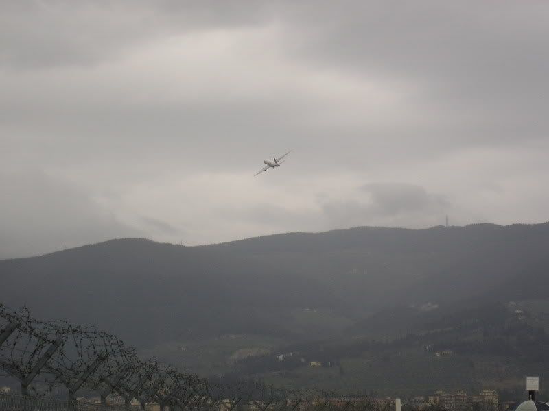 P1010004.jpg