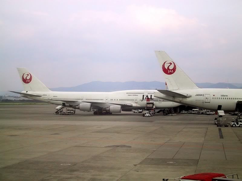 jal744D_8.jpg
