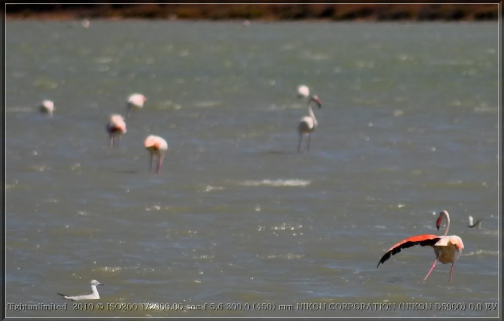 DSC_0156_hf.jpg