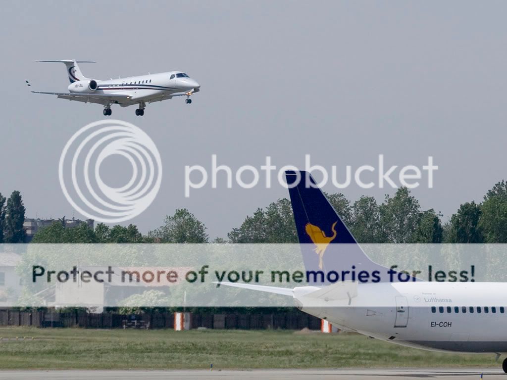 lin1305088.jpg
