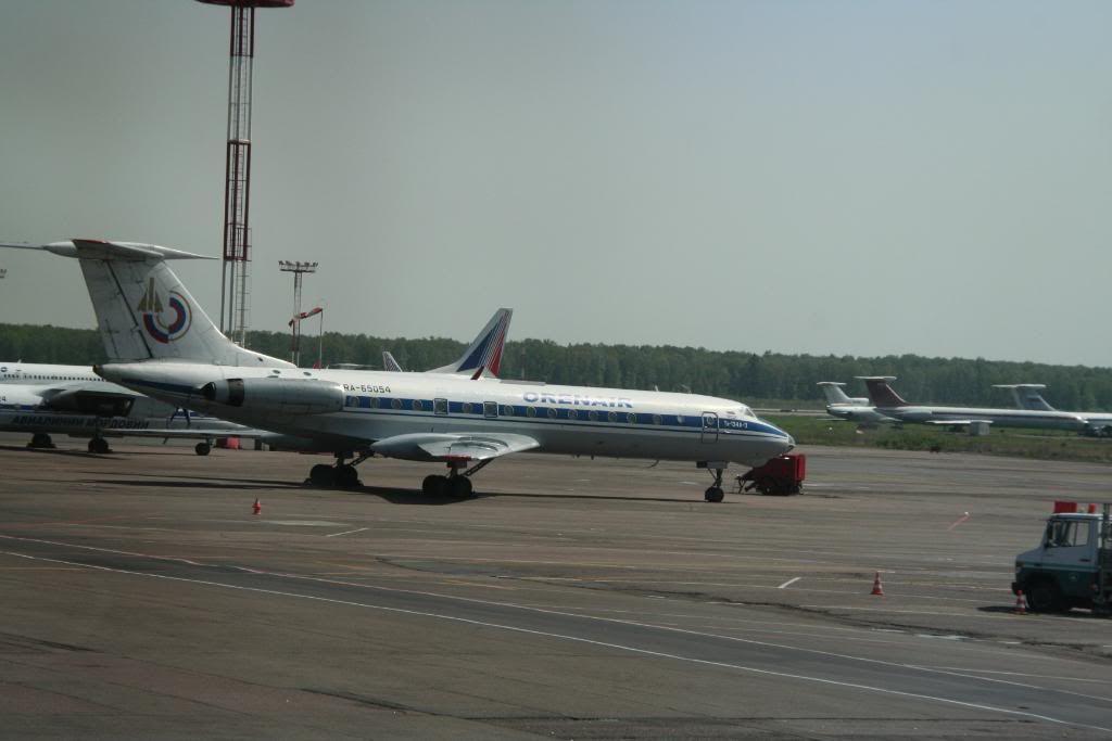 mosca88.jpg