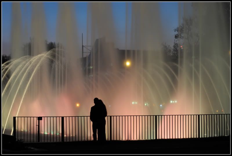 DSC_1012.jpg