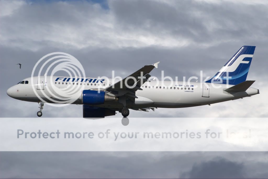 aa0172.jpg
