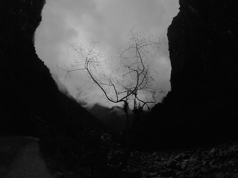 29680672465_4694a7c3d3_c.jpg