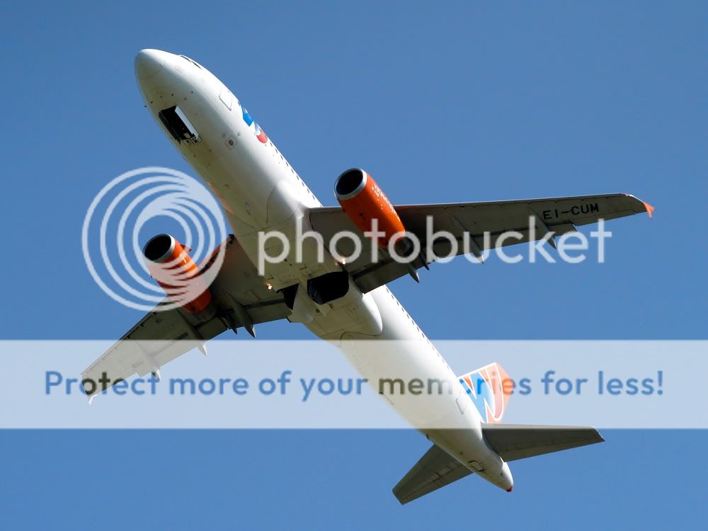 AM018787.jpg