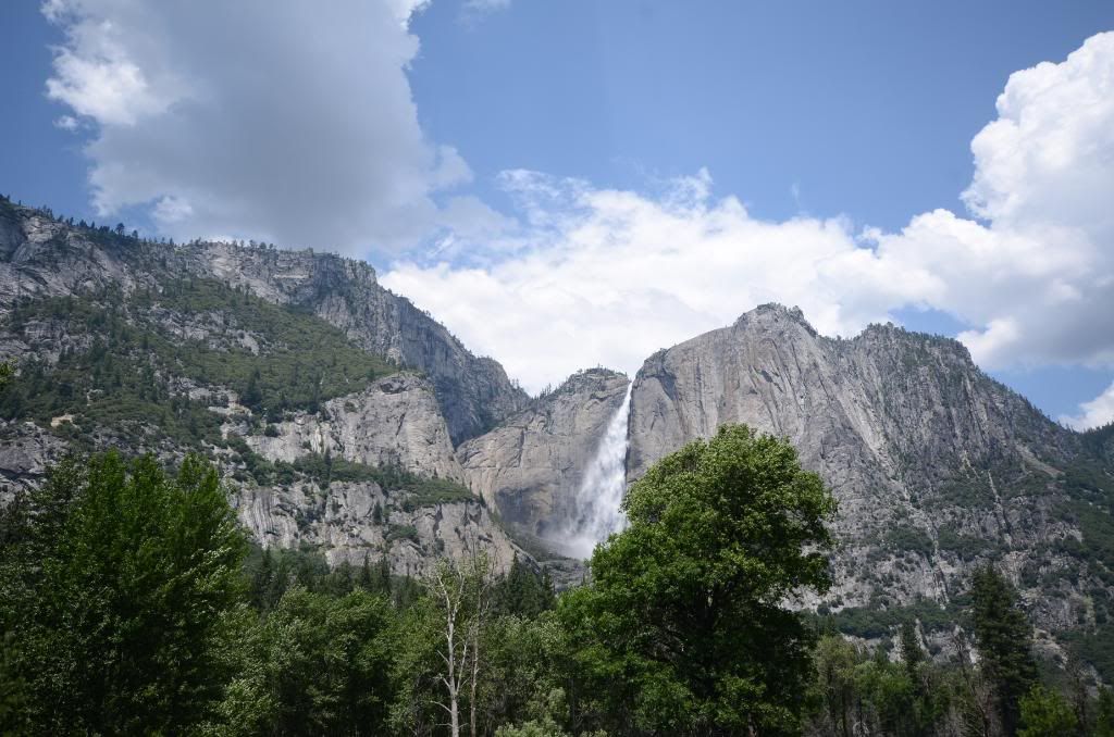 DSC_1291.jpg