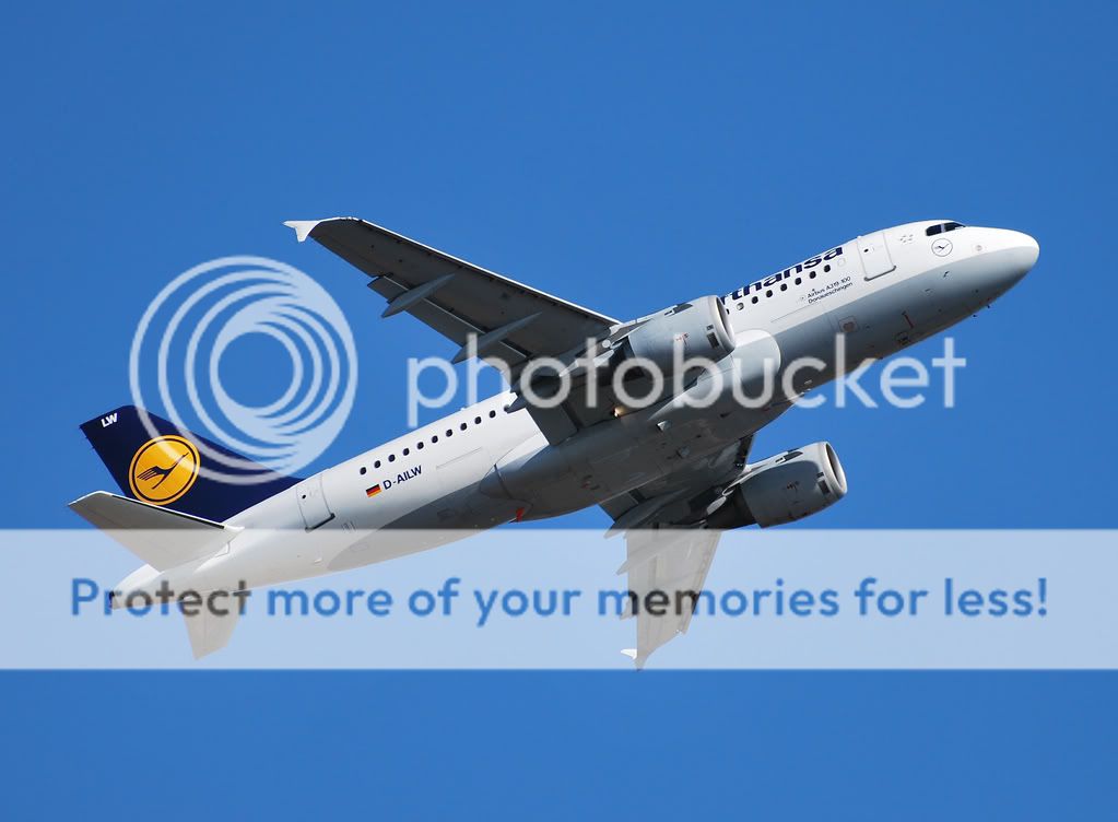 D-AILW.jpg