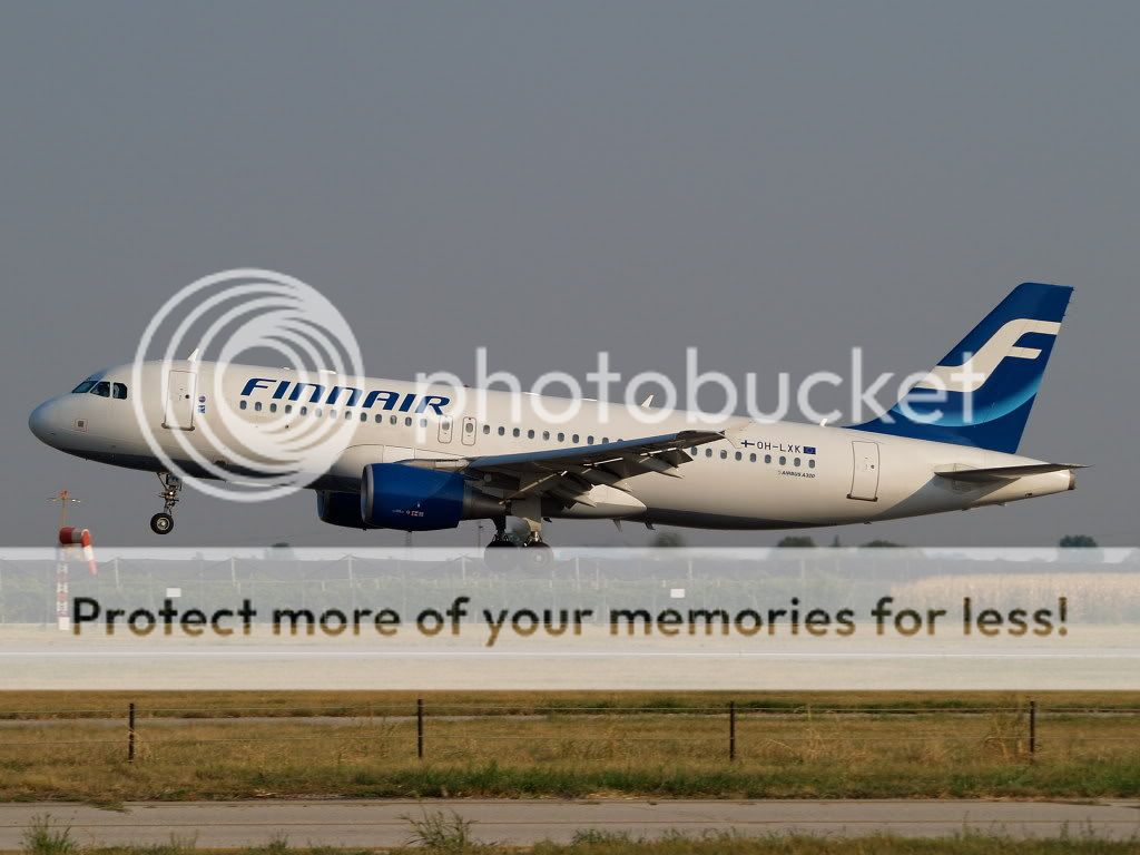 AM309700.jpg