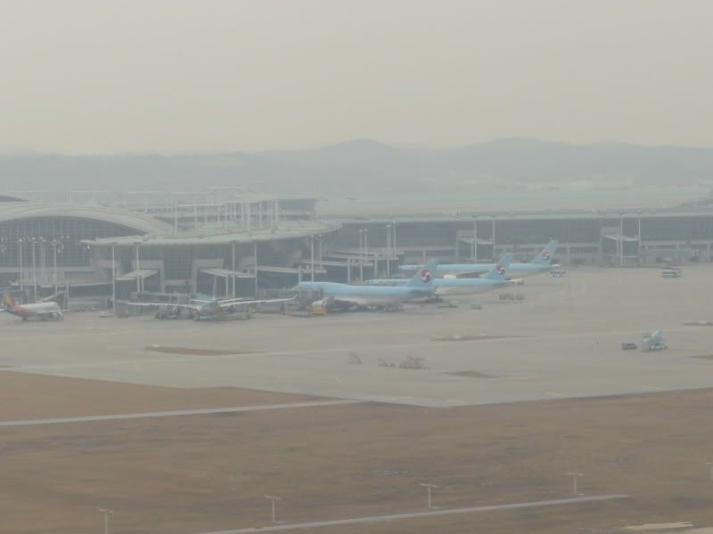 CIMG6571.jpg