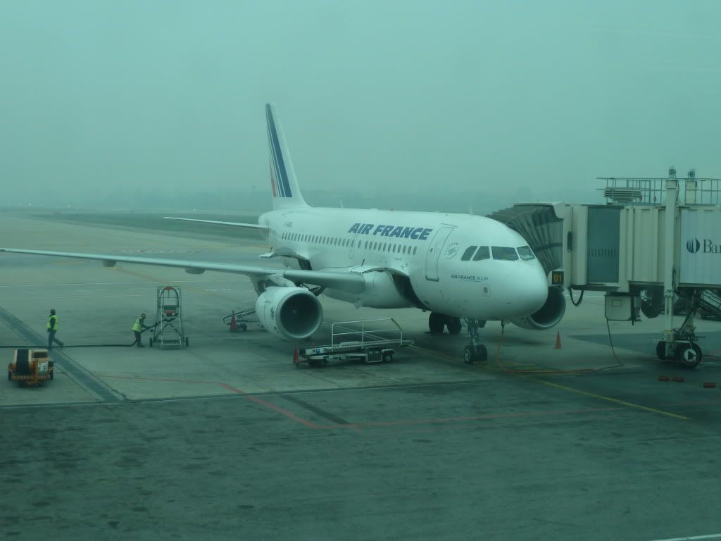 P1000228.jpg