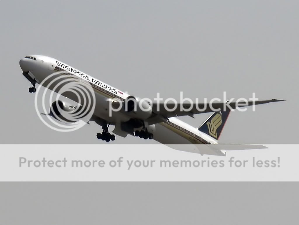 CIMG2708_2.jpg