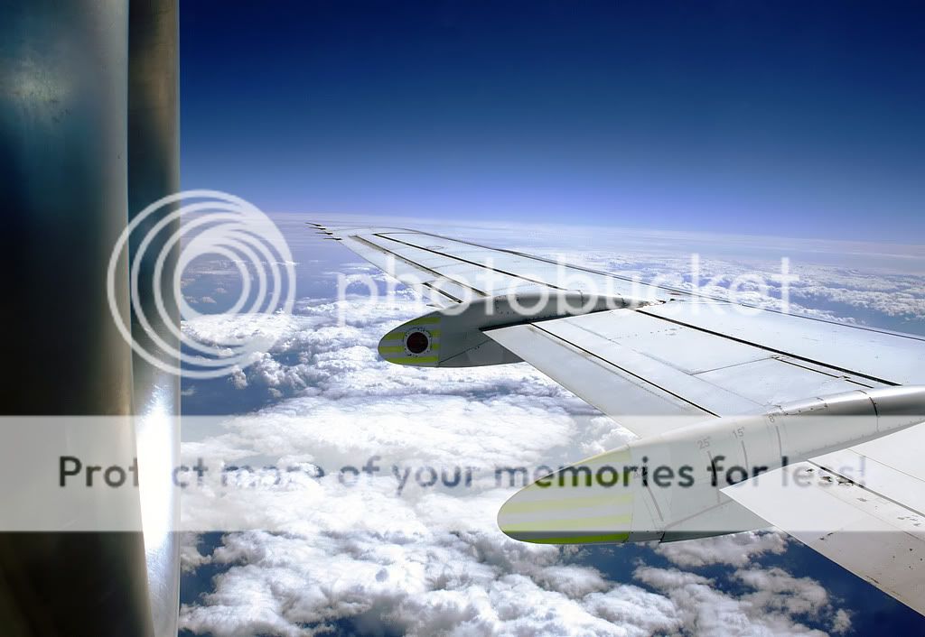KLMwings_filtered.jpg