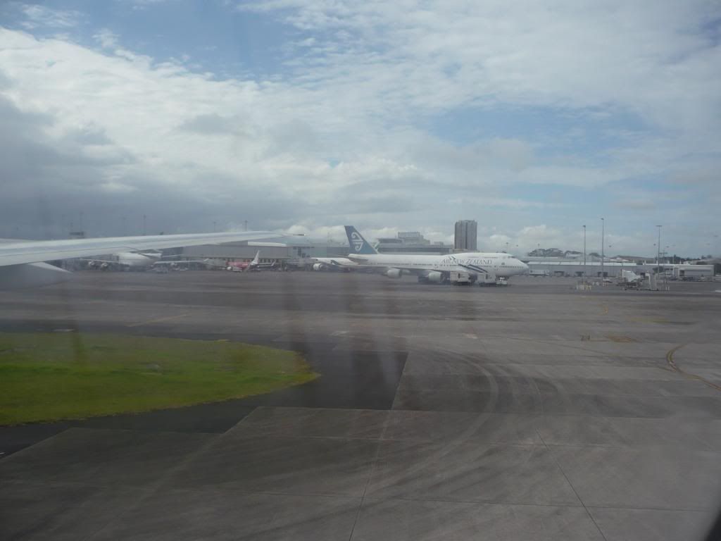 P1000231.jpg